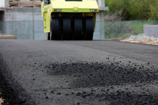 Best Custom Driveway Pavers  in Holton, KS